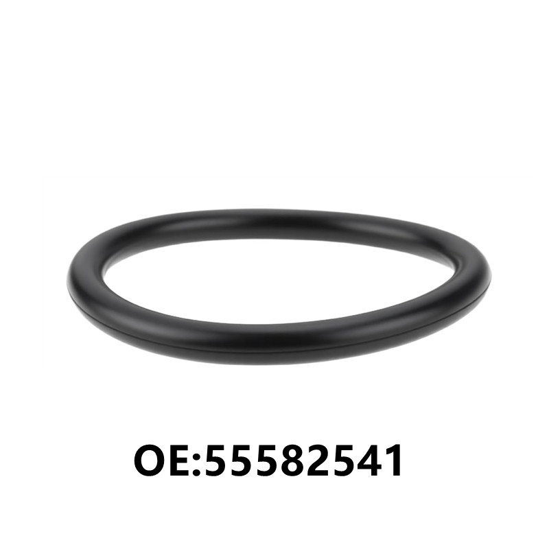 Tank O-Ring Seal - 1pc 55582541 Anello di tenuta del