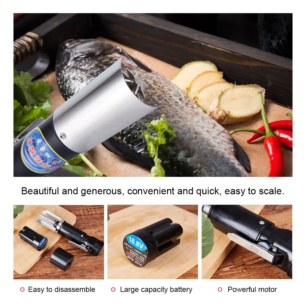 Coltello per frutti di mare 12 - Mesh Coil Strip recensione e prezzo