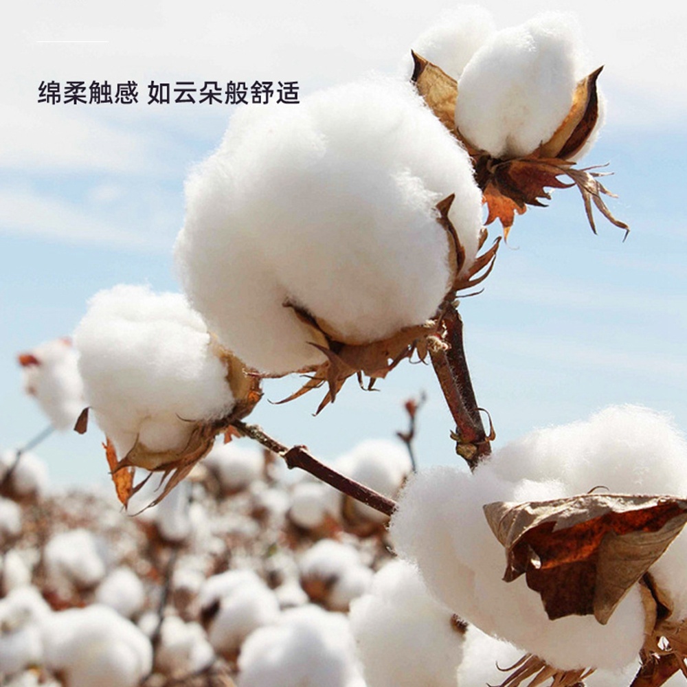 Stoppino per pancetta in coton - Cotton Wick Organic recensione e prezzo