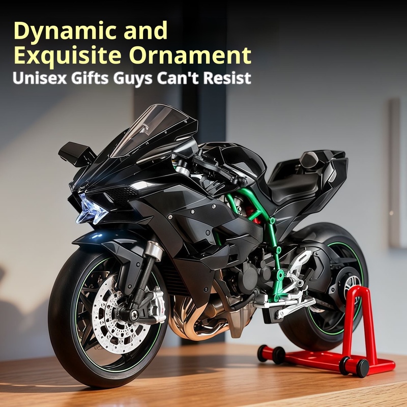 Kawasaki Ninja H2R Modello din - Battery Case Storage recensione e prezzo