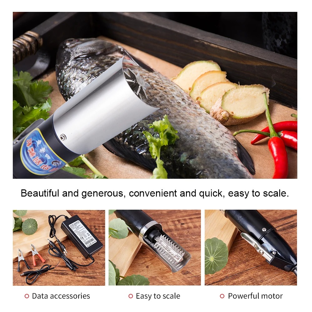 Coltello per frutti di mare 12 - Mesh Coil Strip recensione e prezzo
